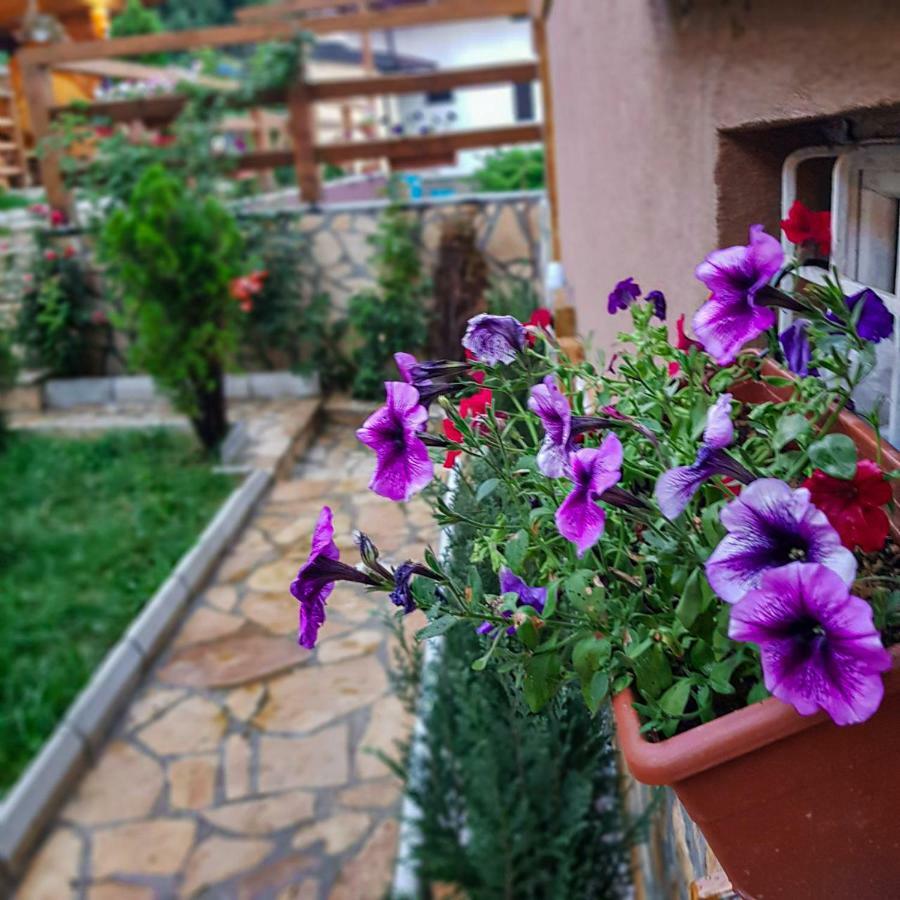 Apartment Little Paradise Visoko Exterior foto